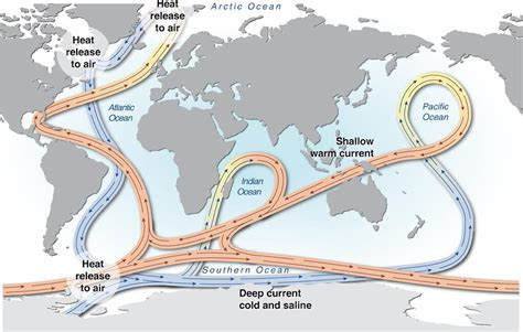 atlantic  driving force  ocean circulation   taste