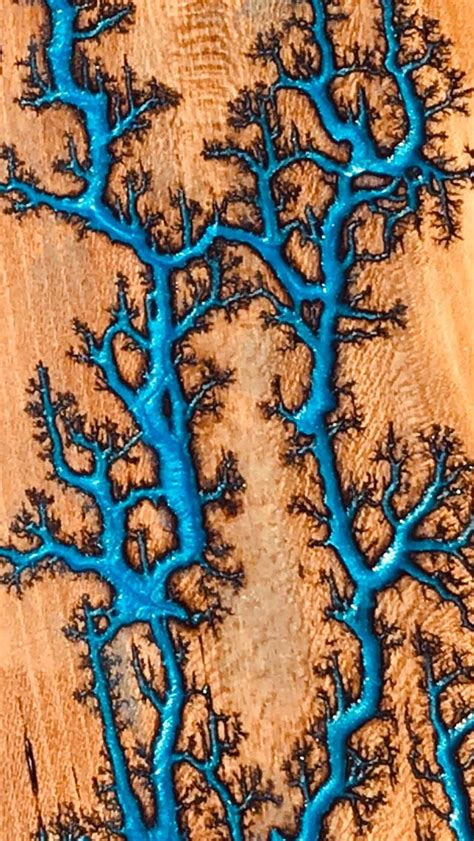 an aerial view of some trees in the sand with blue paint on their ...