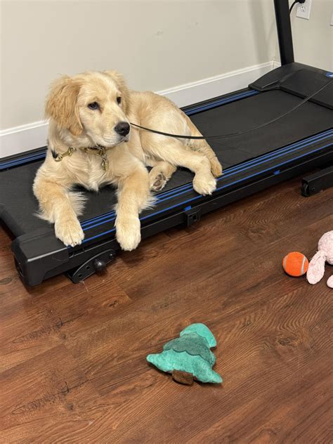 Align Now Physical Therapy... - Align Now Physical Therapy