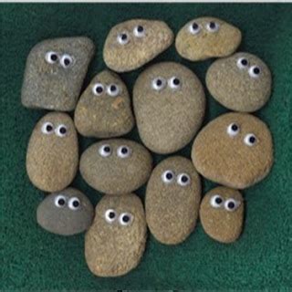 how to take care of a pet rock