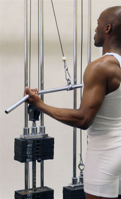 cable push  wide underhand grip bodbot