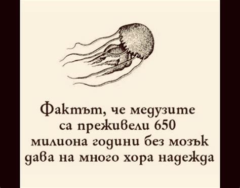 Мъжката Библия - Мъжката Библия