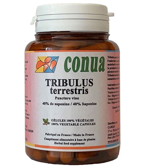 Tribulus terrestris benefits bodybuilding, libido, menopause, liver ...