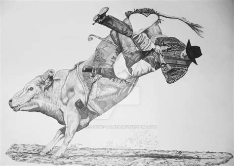 Bucking Bull Drawing at PaintingValley.com | Explore collection of ...