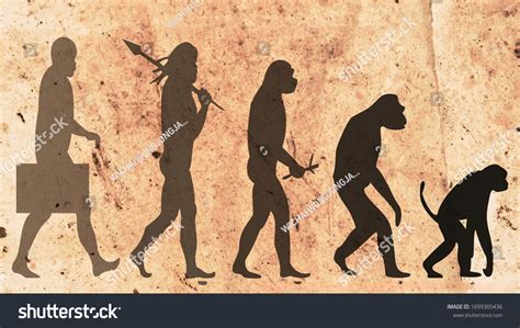 Silhouette Evolution Human On Old Paper Stock Illustration 1699305436 ...