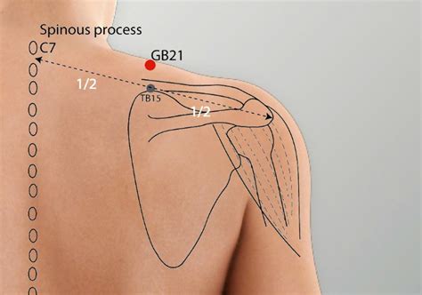 gb  huantiao gall bladder meridian acupuncture point