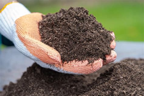 Fertile Soil vs. Productive Soil – What Makes Soil Fertile?