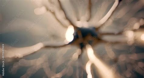 mesmerizing animation   neuron   midst  synaptic