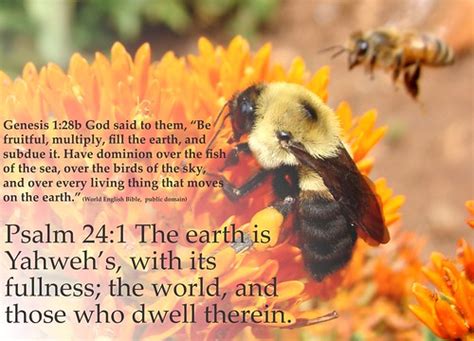 sun  shield environmental stewardship   bible  post