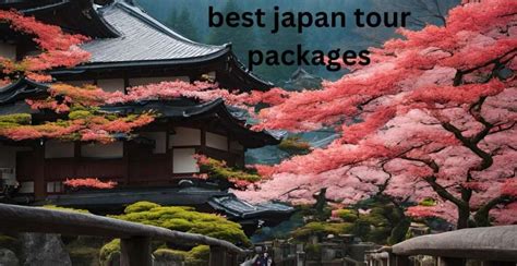 ultimate guide   japan  packages skr travel
