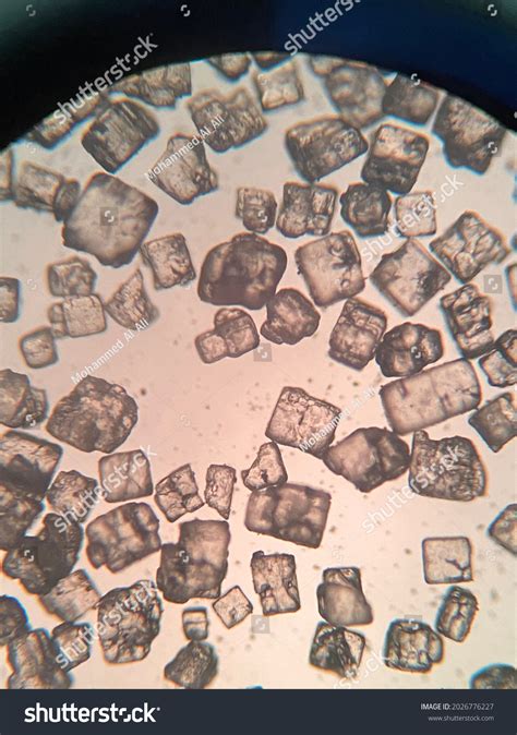 crystal  microscope royalty    stock images