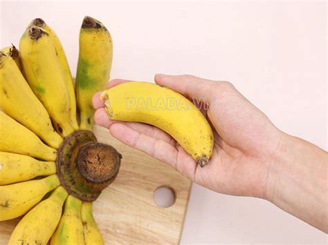 chuoi cau la chuoi gi tac dung cac mon  tu chuoi cau chin thiet