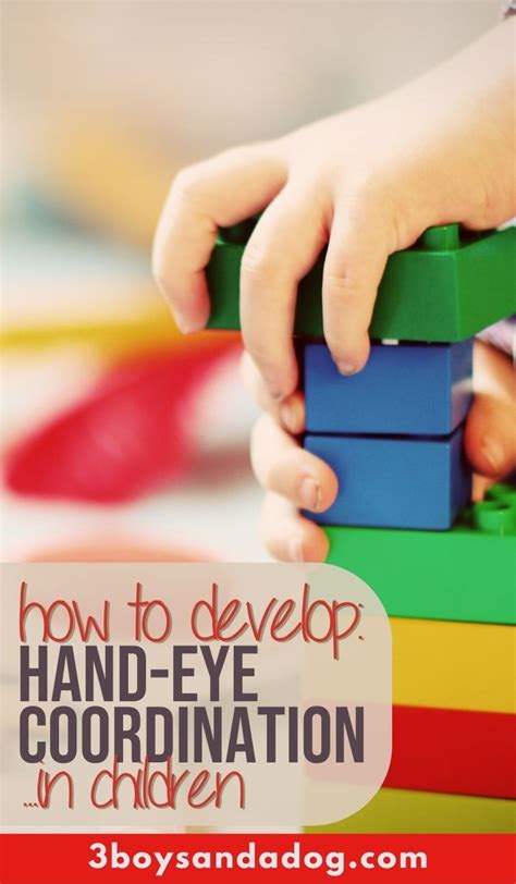 develop hand eye coordination  children  boys   dog