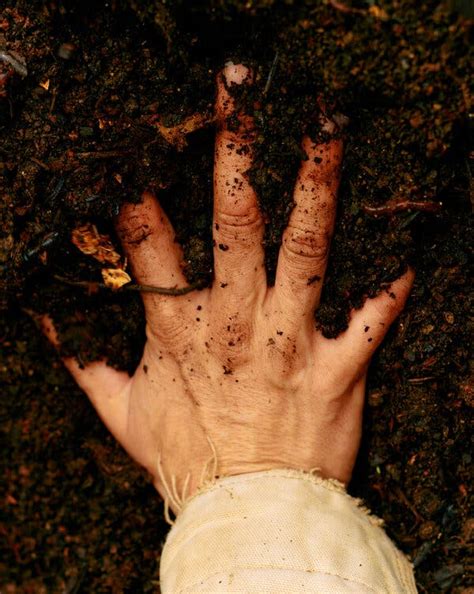 The Surprising Health Benefits of Getting Dirty - The New York Times