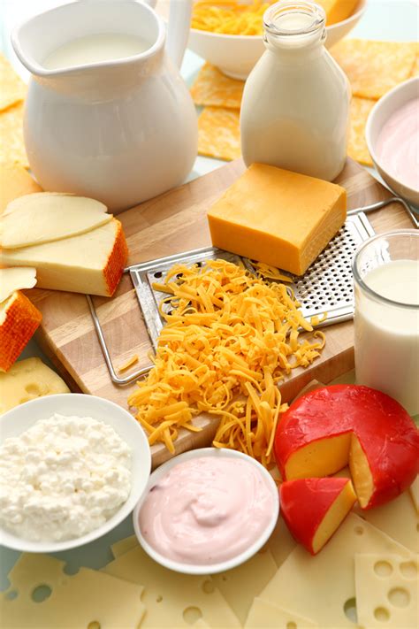 Dairy Products: Information About Dairy Products