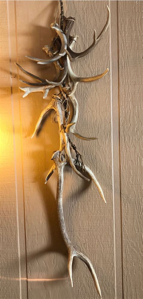 Antler Shed Display Hanger Antlers NOT Included Display - Etsy