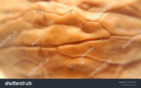 Walnut Shell Texture Close Stock Photo 2220602235 | Shutterstock