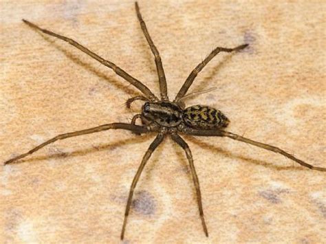 bo suu tap hinh  nhen cuc chat full  voi hon  hinh