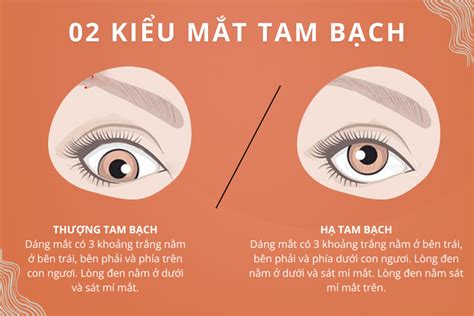 Mắt Tam Bạch là gì? Tướng số, vận mệnh nam nữ giàu hay nghèo