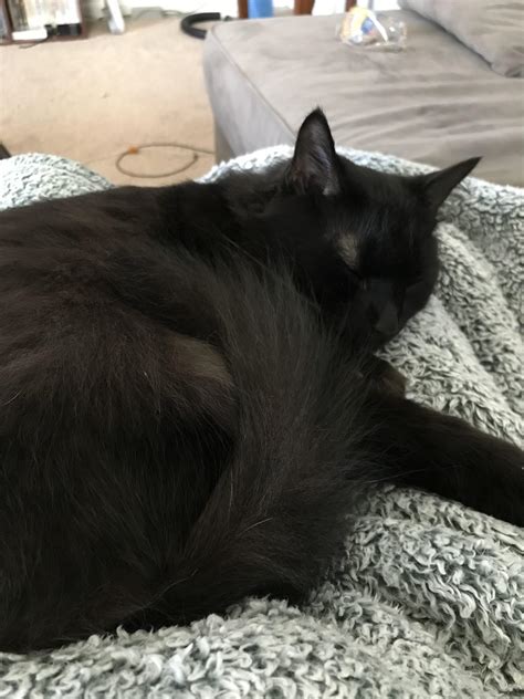 I hear y’all like black pussies… | Scrolller