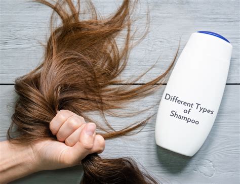 types  shampoo thehairnetworkcom  rights reserved