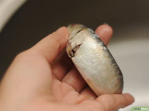 The Magic Of Miniature Meals: 5 Simple Ways To Cook Sardines