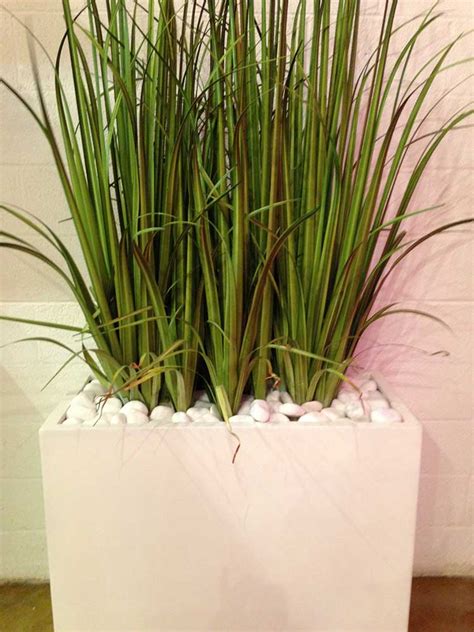 Silk Plants | Landscape and Floral
