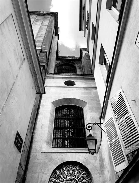 Old+Grandmother's+Excessive+Hairy+Bush Photos, Download The BEST Free