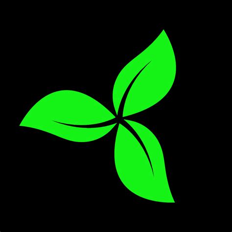 arbor finance medium