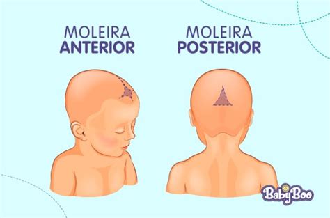 Moleira Do Bebe - Moleira do bebê - quais cuidados devemos ter? e quando ela fecha?