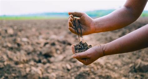 soil conservation stock  images  backgrounds