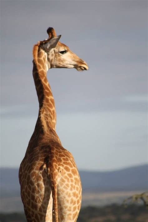 visit paterson  travel guide  paterson eastern cape expedia