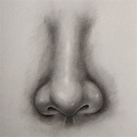 The Delicate Art Of Crafting A Petite Nose