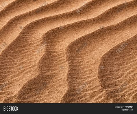 Sand Dunes Texture