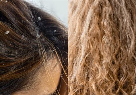 how to tell if i have low porosity hair