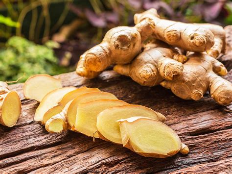 edible ginger plant ginger plants  sale citruscom