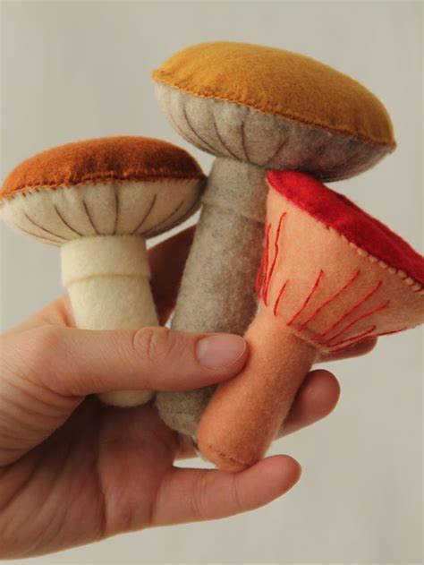 Handmade Felt Mushrooms Set