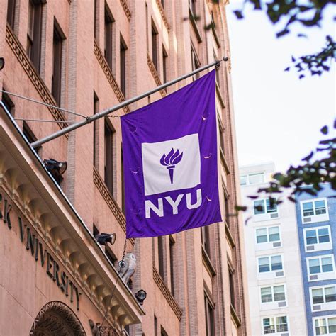 york university receives  grant  study  children view