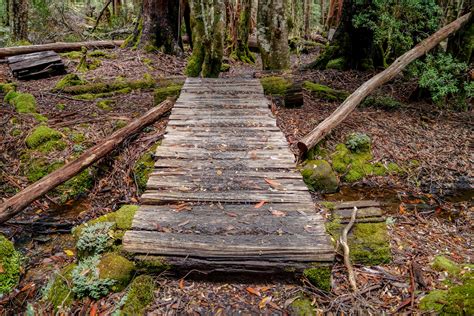 Overland Track, Cradle Mountain National Park • Pegs on the Line
