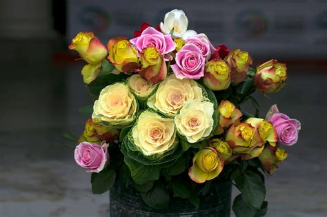 Camilla+Araujo+Pink+Pic Photos, Download The BEST Free Camilla+Araujo