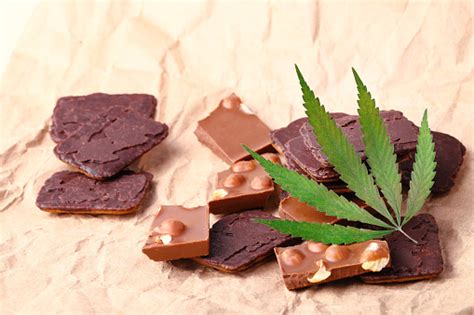 cbd theobroma theobroma