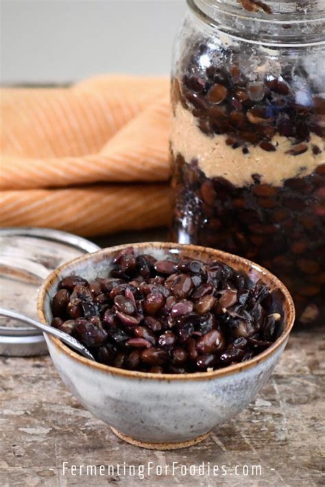 Fermented Black Beans (Simplified Douchi) - Fermenting for Foodies