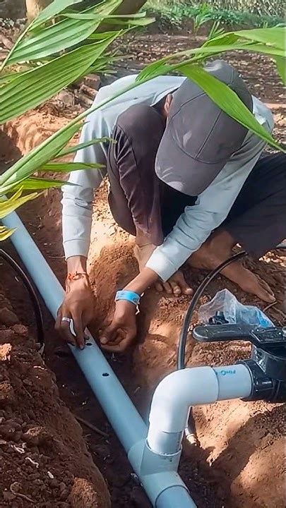 mm labar netafim company youtube