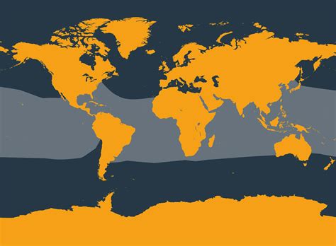 pantropical spotted dolphin whale  dolphin conservation