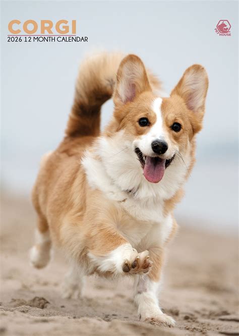 Corgi Calendar 2026 – A Year of Stumpy Legs and Big Smiles – M-PRA