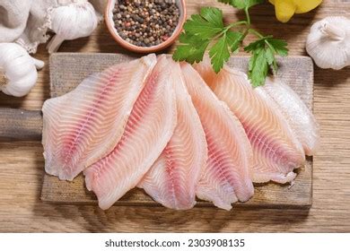 tilapia fish royalty  images stock  pictures