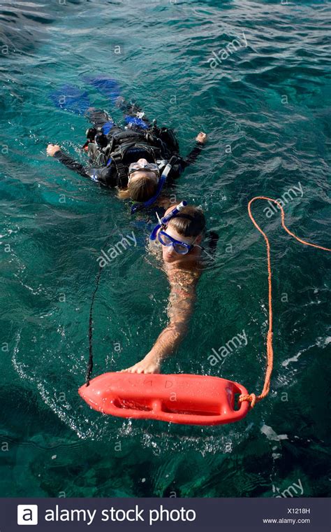 diving accident high resolution stock photography  images alamy