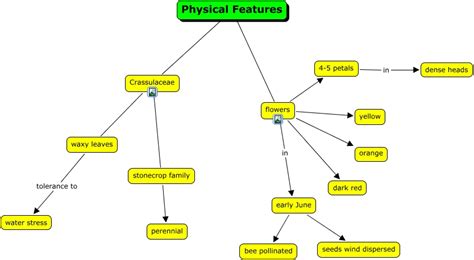 Physical Features - What are the characterisitcs of this plant?