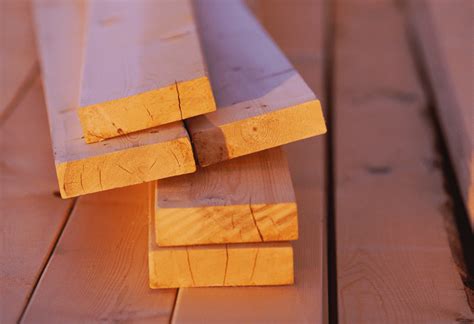 Persimmon Wood Uses: What to Do With This Hardwood - The Forestry Pros