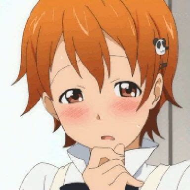 inami   borrow   internet archive